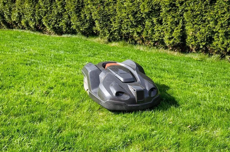best robot lawn mower in Australia
