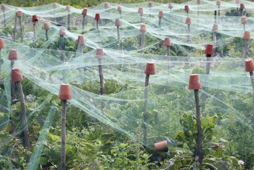 Extending The Lifespan Of Netting Products